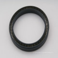 Fabriqué en Chine de haute qualité PTFE Spring Energized Seals